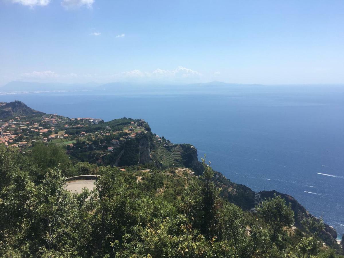 Coastal Cliff, Amalfi Lejlighed Pianillo Eksteriør billede