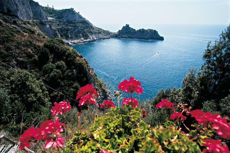 Coastal Cliff, Amalfi Lejlighed Pianillo Eksteriør billede
