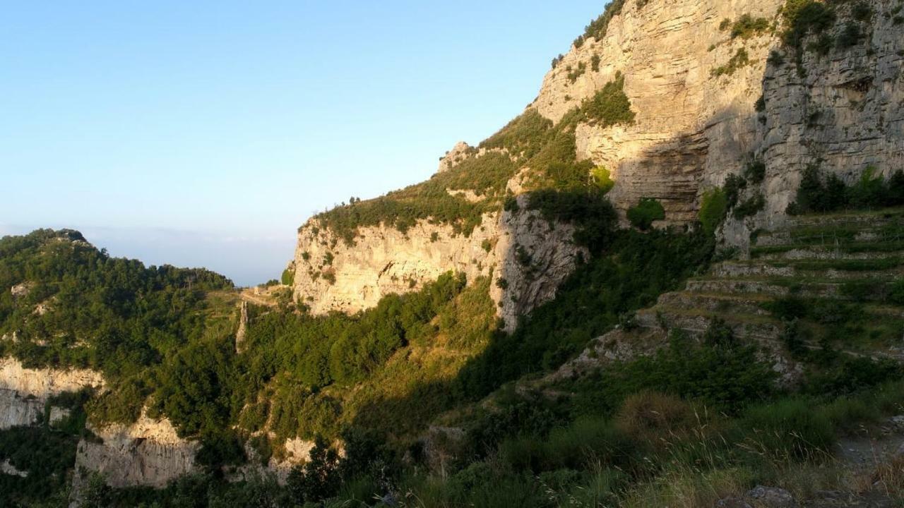 Coastal Cliff, Amalfi Lejlighed Pianillo Eksteriør billede